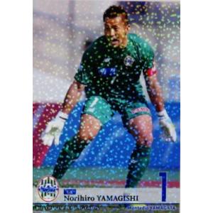 02 【山岸範宏】[クラブ発行]2016 モンテディオ山形 オフィシャルカード レギュラーパラレル