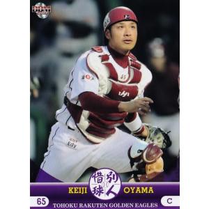 27 渡辺亮 (阪神タイガース）】BBM2016 惜別球人 レギュラー