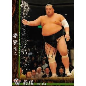 15BBM 大相撲カード LEGEND 至宝 #33 寺尾 常史 : スポーツカード