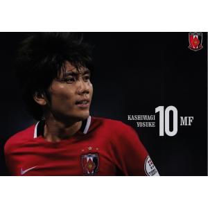 13 【平川忠亮】[クラブ発行]2016 浦和レッズ オフィシャルカード
