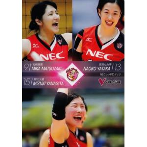 2015-16V・プレミアリーグ女子公式トレーディングカード レギュラー