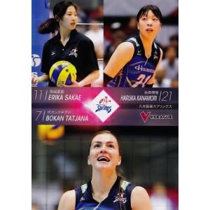 2015-16V・プレミアリーグ女子公式トレーディングカード レギュラー