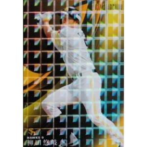 フルコンプリートセット】カルビー 2017プロ野球チップス第2弾 全112種