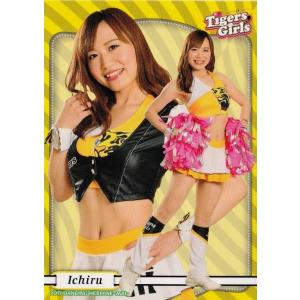 SP02 【松崎さや＆大倉かりん (巨人/VENUS)】BBM プロ野球チアリーダー
