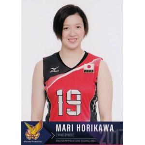 49 【佐藤美弥】全日本女子バレーオフィシャルカード2017 「火の鳥