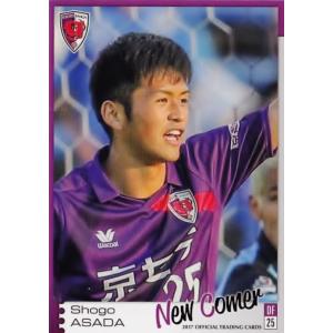 田中マルクス闘莉王選手 直筆サイン入りJリーグ公式試合球 2014年 サンガ 田中マルクス闘莉王選手 直筆サイン入りJリーグ公式試合球 2014年 サンガ