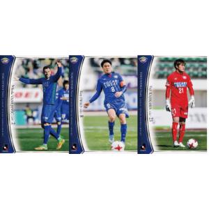 BBM 中日ドラゴンズ 2008 レギュラー D33 田中大輔 : スポーツカード