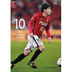 6 【遠藤航】[クラブ発行]2017 浦和レッズ&浦和レッズレディース