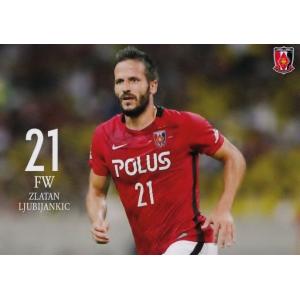 6 【遠藤航】[クラブ発行]2017 浦和レッズ&浦和レッズレディース