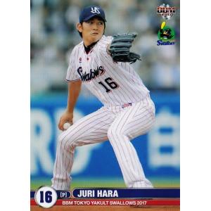 朴一圭/サガン鳥栖】2024 Topps Jリーグ フラッグシップ [直筆サイン