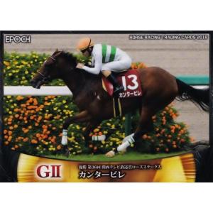 サラブレッドホースコレクション　キャンペーン当選品　ジャングルポケット 15 【ジャングルポケット】バンダイ 2024 サラブレッドホース