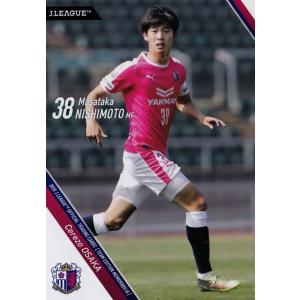 31 【新沼慎二 (横浜DeNAベイスターズ)】BBM2013 惜別球人 レギュラー