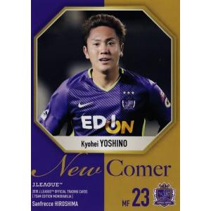 2 【林卓人】2018Jリーグカード TEメモラビリア サンフレッチェ広島