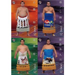 4 【貴ノ浪 貞博】BBM 1997 大相撲カード レギュラー : スポーツカード