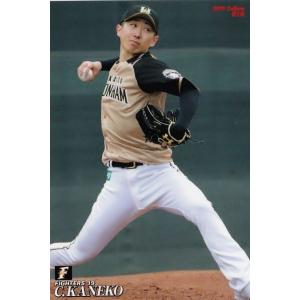 T-21 【W.バレンティン/東京ヤクルトスワローズ】カルビー 2019プロ