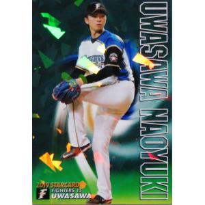 L-09 【岩瀬仁紀/中日ドラゴンズ】カルビー 2019プロ野球チップス第1弾