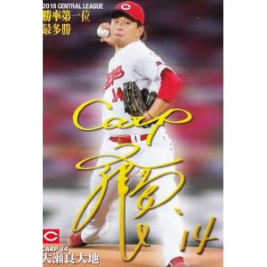 T-16 【大瀬良大地/広島東洋カープ】カルビー 2019プロ野球チップス第1弾 レギュラー [タイトルホルダーカード]｜jambalaya