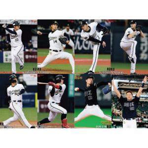 BBM 2013 阪神タイガース　桧山進次郎　ジャージカード　/100 BBM 2013 阪神タイガース 桧山進次郎 ジャージカード /100 ビジター