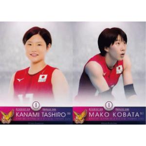 09-10サッカー日本代表SE レギュラー 【なでしこジャパン フェイスin