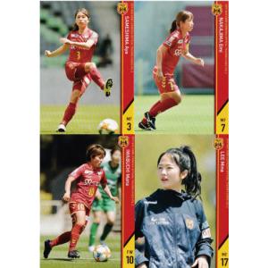 11-12 サッカー日本代表SE レギュラー 【なでしこジャパンカード】 114