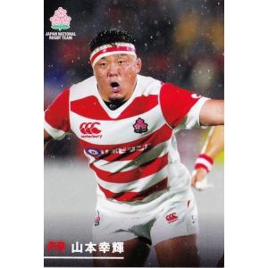 13 【アニセサムエラ】カルビー2019 ラグビー日本代表チップス