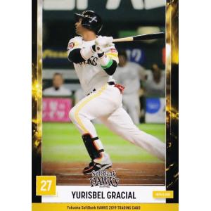 45 【Y.グラシアル】2019 福岡ソフトバンクホークス ユーズドボールシリーズ レギュラー