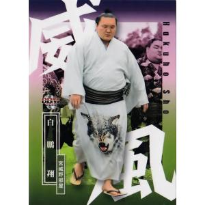 25 【成瀬竣平】2021Jリーグカード TEメモラビリア 名古屋グランパス
