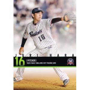 49 【荒木貴裕】2019 東京ヤクルトスワローズ ユーズドボールシリーズ