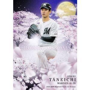 6 【種市篤暉】2025 ブシロード プロ野球DREAM ORDER 千葉ロッテ