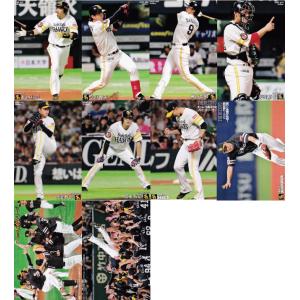 中日ドラゴンズ】カルビー 2024 プロ野球チップス第2弾 [チーム別