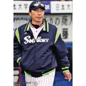 BBM2015 リアルヴィーナス レギュラー 47 藤巻紗月 (フィンスイミング