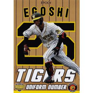 BBM 2011 埼玉西武ライオンズ　片岡易之　バットバレルカード　30枚限定 TBP01-L03 片岡 易之 SR | 球団ブースター 埼玉西武ライオンズ