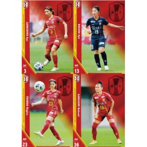 11-12 サッカー日本代表SE レギュラー 【なでしこジャパンカード】 114