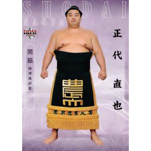 195 【永井龍/名古屋グランパス】2017 Jリーグオフィシャルカード