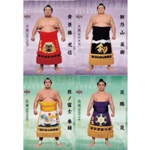【レギュラーコンプリートセット/全81種】BBM 2020 大相撲カード「新」
