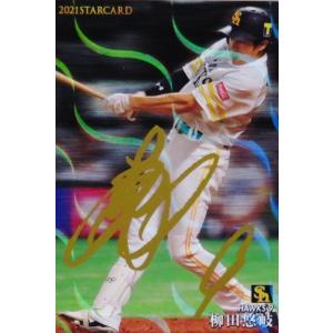 S-33 【中田翔/北海道日本ハムファイターズ】カルビー 2021プロ野球