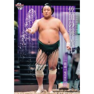 30 【佐田の海 貴士】BBM2021 大相撲カード レギュラー｜jambalaya