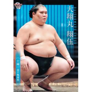 60 【大翔丸 翔伍】BBM2021 大相撲カード レギュラー｜jambalaya