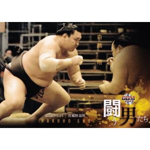 77 【白鵬 翔】BBM2021 大相撲カード レギュラー [闘う男たち]