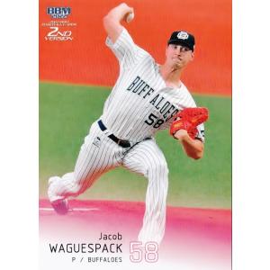 376 【木澤尚文/東京ヤクルトスワローズ】2022BBMベースボールカード