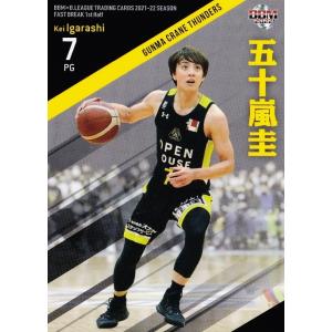 甲斐優斗】バレーボール 男子日本代表 2025【フォトカード/A] 290枚