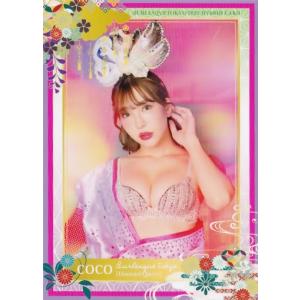 19 【KAZUKI】ヒッツ バーレスク東京2022 ハイブリットカード
