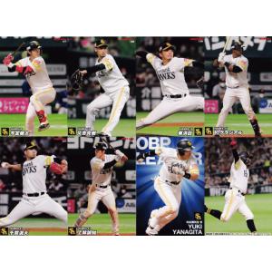 S36 【大島洋平/中日ドラゴンズ】カルビー 2024 プロ野球チップス 第2