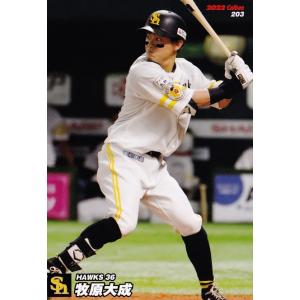 203 【牧原大成/福岡ソフトバンクホークス】カルビー 2022 プロ野球チップス第3弾 レギュラー