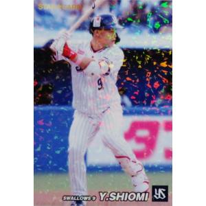 プロ野球チップス第3弾 復刻カード 衣笠祥雄選手 プロ野球チップス第3弾 復刻カード 衣笠祥雄選手 プロ野球チップス第3