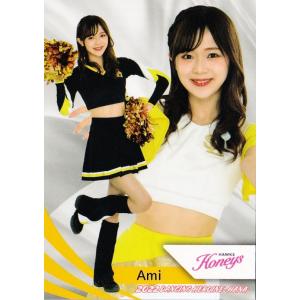 ヴァイスシュヴァルツ LHS/W122-003S Dream Believers 日野下 花帆 (SR