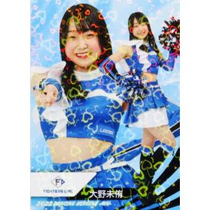 44 【讃岐花笑 (日本ハム/FIGHTERS GIRL)】BBM プロ野球チアリーダー