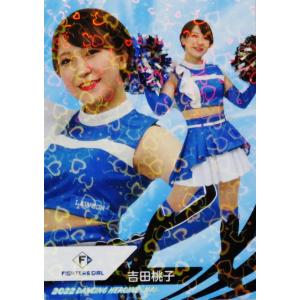 F11 【竹市琴美 (日本ハム/FIGHTERS GIRL)】BBM プロ野球チアリーダー