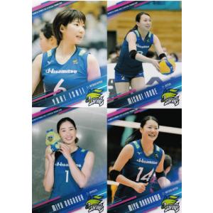 22 【中島咲愛】2025-26 SAGA久光スプリングス トレーディングカード