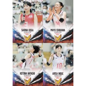 箔押しサイン入り] SP-10 和田由紀子 (スペシャル) 】 バレーボール